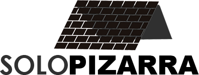 Logo Solo Pizarra